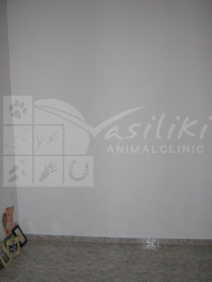 waiting room before5